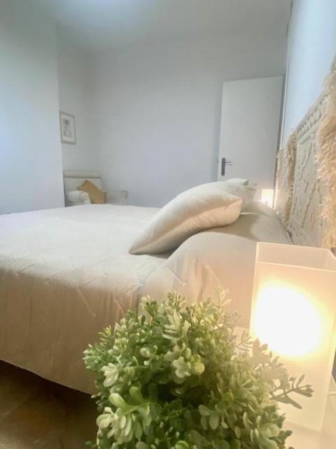 Magdalena Central Apartment Siviglia Esterno foto
